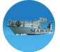 Sea Hunter Fishing Trips