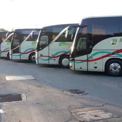 Hadjilikos And Sons Tourist Buses