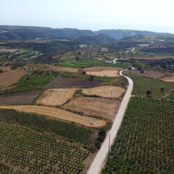Vasiliko Winery Vine Yards