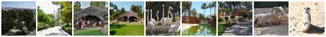Limassol Zoo Gallery